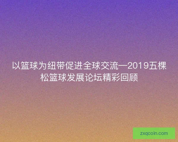 以篮球为纽带促进全球交流—2019五棵松篮球发展论坛精彩回顾 以篮球为纽带促进全球交流—2019五棵松篮球发展论坛精彩回顾